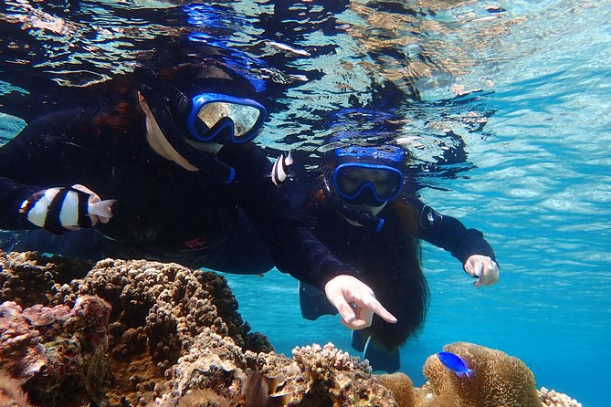 Okinawa Miyako 3set Beach SUP, Snorkeling,Pumpkin Cave,Canoeing - Lunch break: build energy for the afternoon