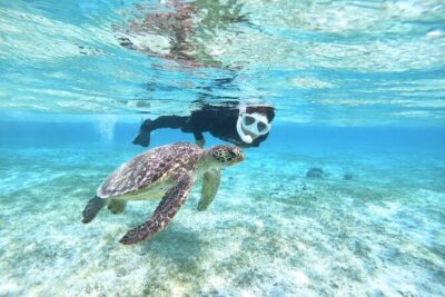 Okinawa Miyako Beach SUP or Canoe and sea turtle Snorkeling - Choosing SUP vs canoe: what changes (and what doesn’t)