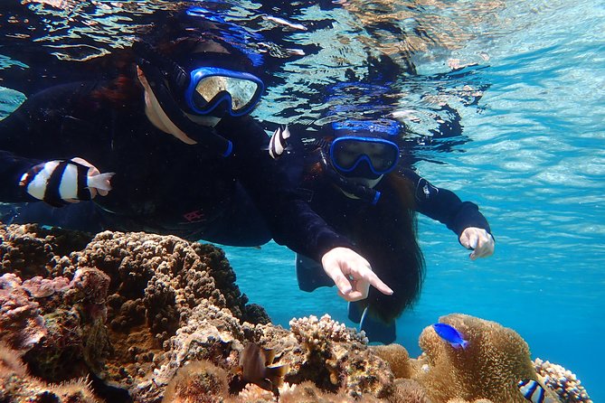 Okinawa Miyako Beach SUP or Canoe and sea turtle Snorkeling - Safety rules that keep the fun from turning into stress