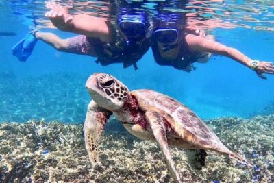 Okinawa Miyakojima 1 day Sea Turtle Snorkeling & Pumpkin Cave & Sea Kayak - Sea Turtle Snorkeling: What You’ll See (and How Long You’re in)