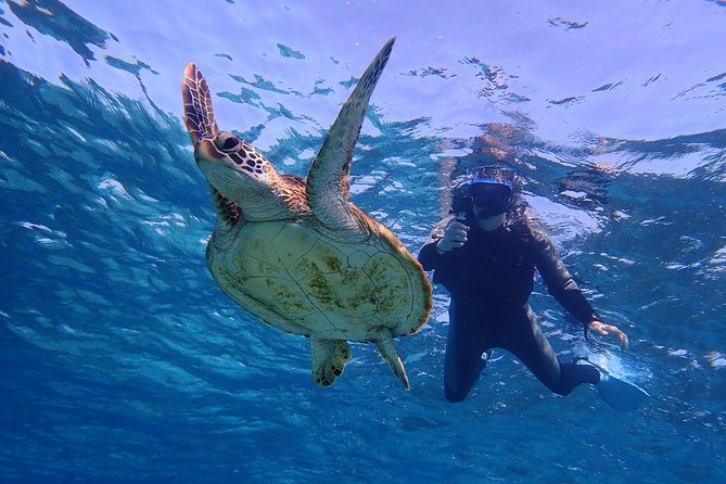 Okinawa Miyakojima 1 day Sea Turtle Snorkeling & Pumpkin Cave & Sea Kayak - Paddle Time: Canoeing to Pumpkin Hall