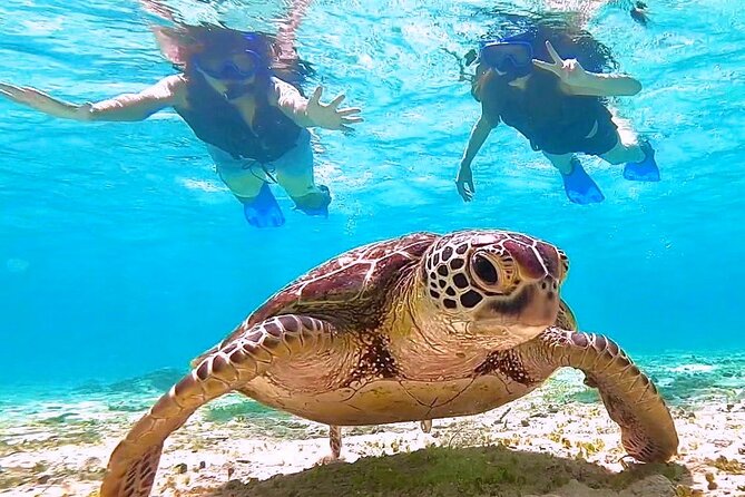 Okinawa Miyakojima 1 day Sea Turtle Snorkeling & Pumpkin Cave & Sea Kayak - Eco-Friendly Intentions: A Tour That’s Trying to Stay Light on the Planet
