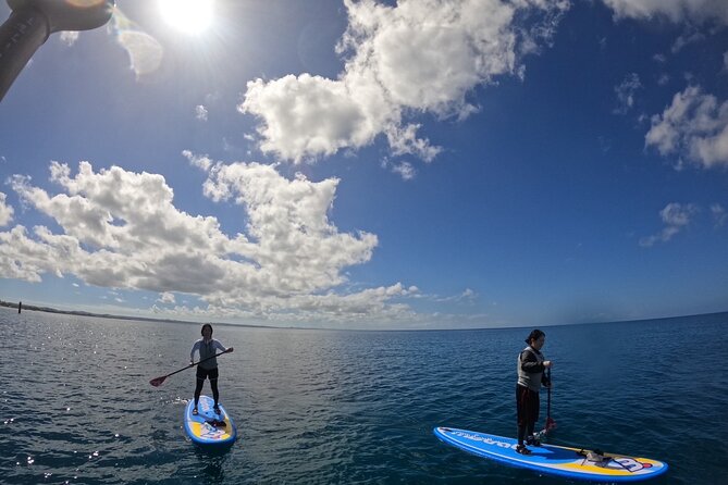 Okinawa West Coast 3-Hour Paddle-boarding adventures - What you actually need to bring (and what you can skip)