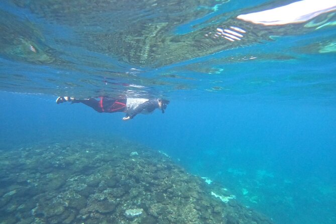 Okinawa West Coast 3-Hour Paddle-boarding adventures - Price and value: what $85 buys you on the water