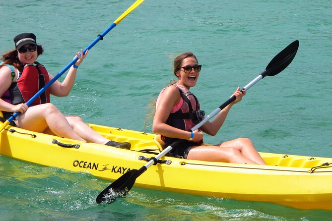 On Your Own: Kayak in the Mangrove Lagoon - Key Highlights Worth Your Attention