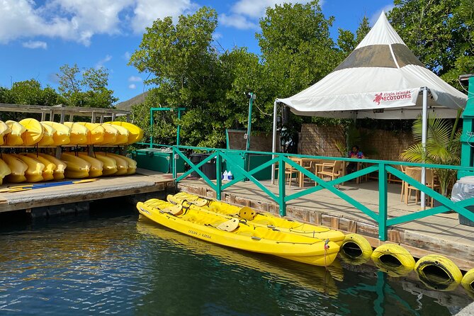 On Your Own: Kayak in the Mangrove Lagoon - Mangrove Kayaking in St Thomas: What Makes This Tour Special