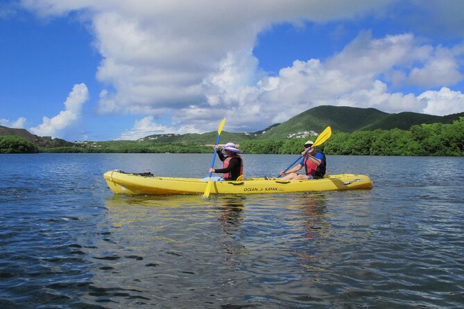 On Your Own: Kayak in the Mangrove Lagoon - Entering the Inner Mangrove Lagoon: Calm Water, Close Views