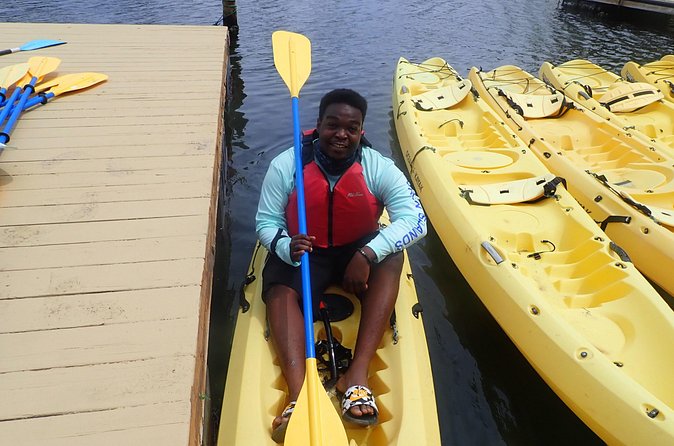 On Your Own: Kayak in the Mangrove Lagoon - Bird Island and Wildlife Watching: What You Should Expect to See