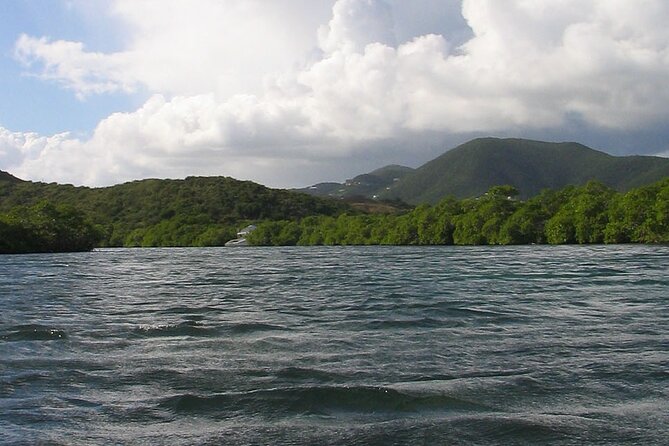 On Your Own: Kayak in the Mangrove Lagoon - The Self-Guided Map: Independence with a Small Reality Check