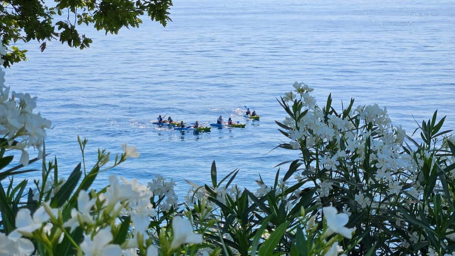 Opatija: Cliffs and caves kayak adventure - Cliff Jumping Choices: Adrenaline on Your Terms