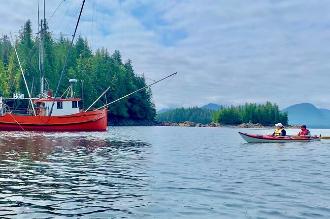 Orca Cove Sea Kayaking - From Sockeye Sam’s to Orca Cove: how the 3-hour flow really works