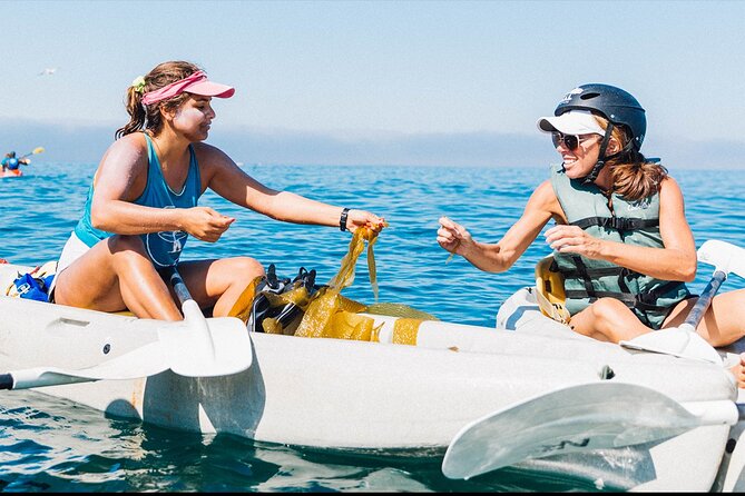 Original La Jolla Sea Cave Kayak Tour for Two - What this kayak tour feels like in real life