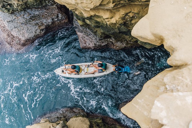 Original La Jolla Sea Cave Kayak Tour for Two - Wildlife odds: what you can realistically expect to see