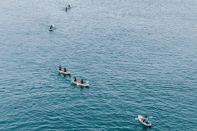 Original La Jolla Sea Cave Kayak Tour for Two - How hard is the paddling, really?