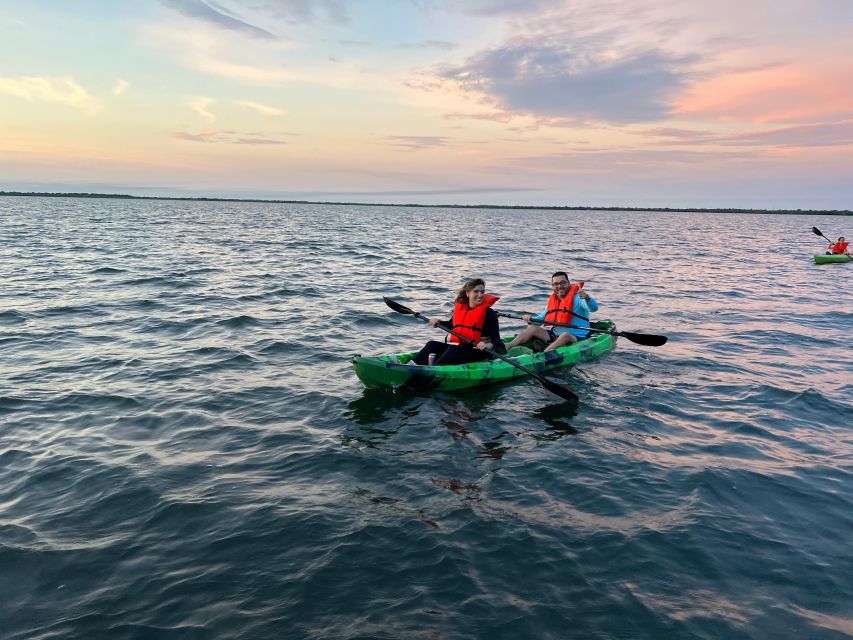 Orlando: Bioluminescence Clear Kayaking or Paddleboarding - Key Things That Matter On This Trip