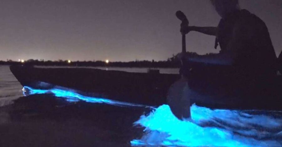 Orlando: Bioluminescence Clear Kayaking or Paddleboarding - Where You Go in the Orlando Area (It’s Really About the Lagoon)