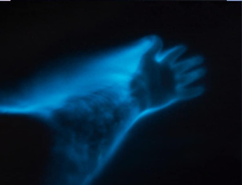 Orlando: Bioluminescence Clear Kayaking or Paddleboarding - Quick Pros and Cons Before You Decide