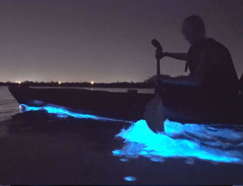 Orlando: Bioluminescence Clear Kayaking or Paddleboarding - Should You Book Epic Paddle Adventures’ Bioluminescence Kayaking?