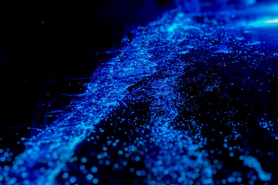 Orlando: Bioluminescence Kayak Tour - Why the Banana River’s water turns into living light