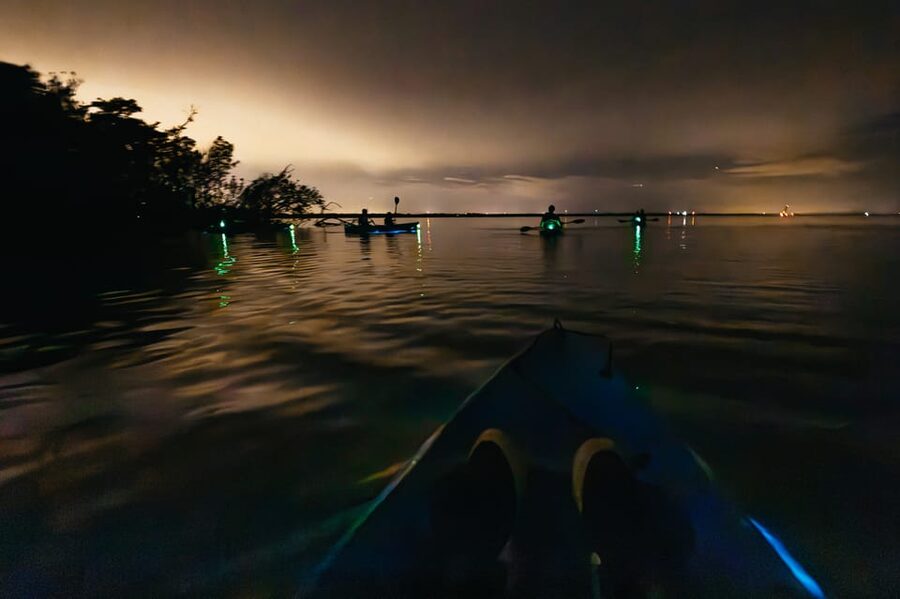 Orlando: Bioluminescence Kayak Tour - The feel on the water: comfort, group time, and photo moments