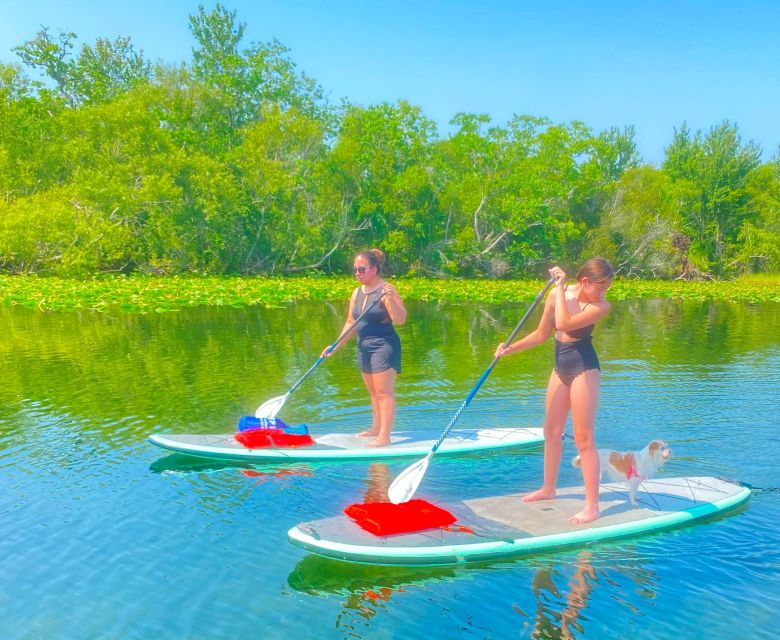 Orlando: Clear Kayak and Paddleboard 2-Hour Rental - What’s included (and why it changes the real cost)