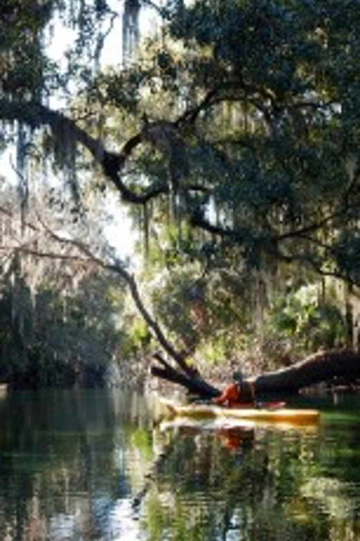 Orlando: Kayaking Tour with Manatee Encounter - Getting to French Landing (and avoiding the sugar-sand trap)