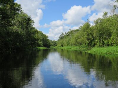 Orlando: Small Group Manatee Discovery Kayak Tour - Blue Spring State Park route: where the kayaking helps you see manatees