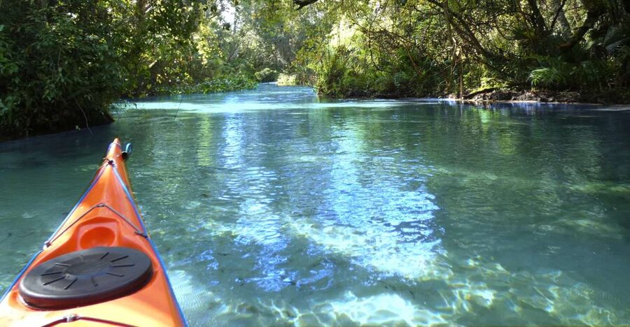 Orlando: Small Group Rock Springs Run Kayak Tour - Key highlights you’ll actually care about