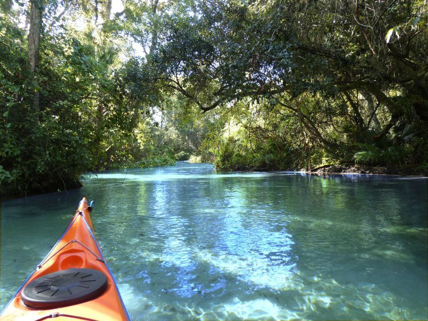 Orlando: Small Group Rock Springs Run Kayak Tour - Rock Springs Run: Orlando’s clean-water escape from the rides