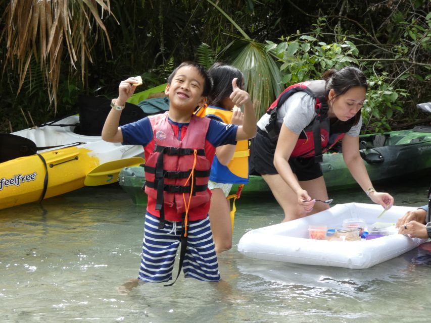 Orlando: Small Group Rock Springs Run Kayak Tour - What wildlife you can realistically look for (and how the guide helps)