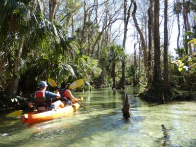 Orlando: Small Group Rock Springs Run Kayak Tour - The 3-hour flow: where you’ll paddle, swim, and drift