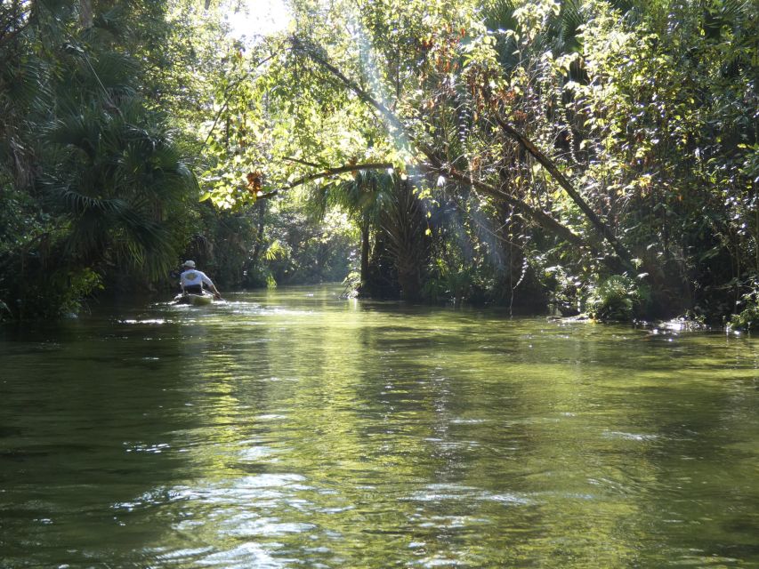 Orlando: Small Group Rock Springs Run Kayak Tour - Weather plan: rain or shine