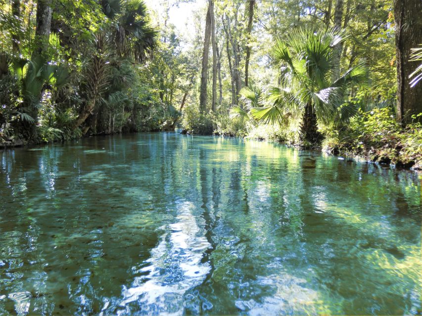 Orlando: Small Group Rock Springs Run Kayak Tour - Who this Orlando kayak tour is best for