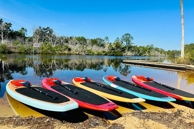 Ormond Beach Manatee and Nature Tour Kayaking or Paddle Boarding - Addison Blockhouse Historic State Park: ruins, wildlife talk, and an easy warm-up