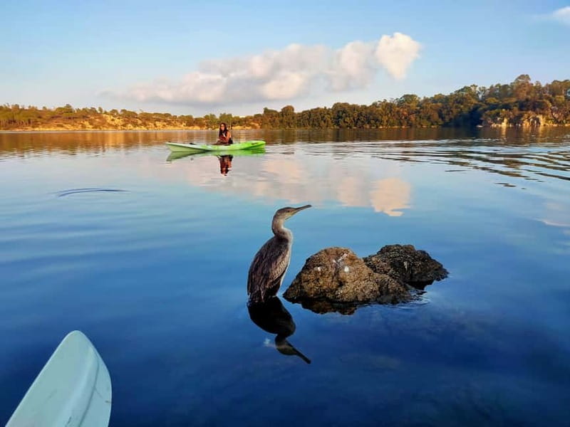 Orosei: Guided Kayak Tour of the Biderosa Oasis at Sunset - Streams and Small Waterways: A Route That Feels More Like Nature Than Transport