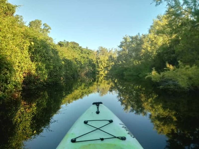 Orosei: Guided Kayak Tour of the Biderosa Oasis at Sunset - Meeting Point at Viale Sa Curcurica: How to Start Smoothly