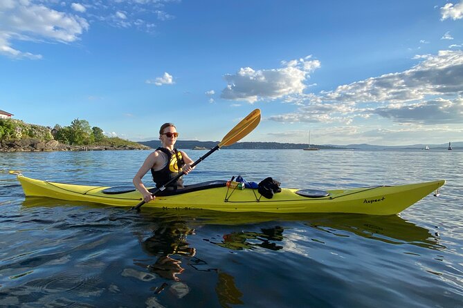 Oslo Sea Kayak Tour: Explore The Incredible Oslofjord - Kayaking the Oslofjord City Route: What It’s Really Like