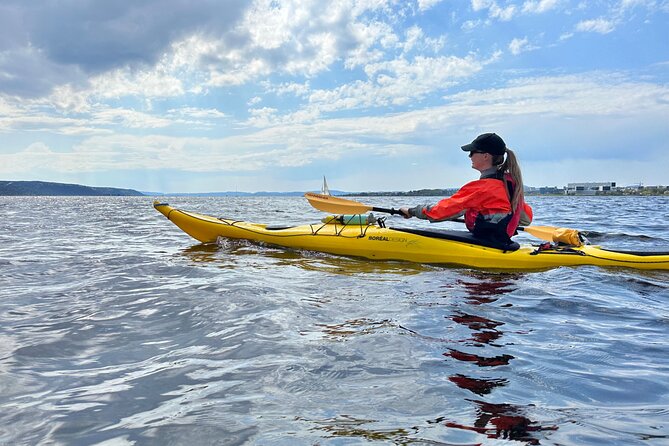 Oslo Sea Kayak Tour: Explore The Incredible Oslofjord - Weather Reality: Wind, Choppy Water, and Possible Dips