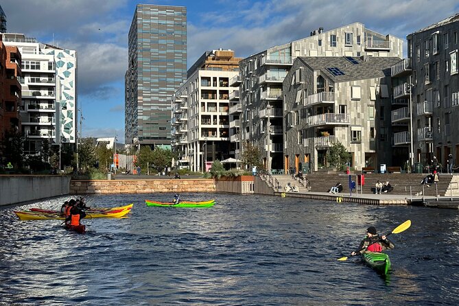Oslo Sea Kayak Tour: Explore The Incredible Oslofjord - Guides, Safety, and the Small-Group Feel