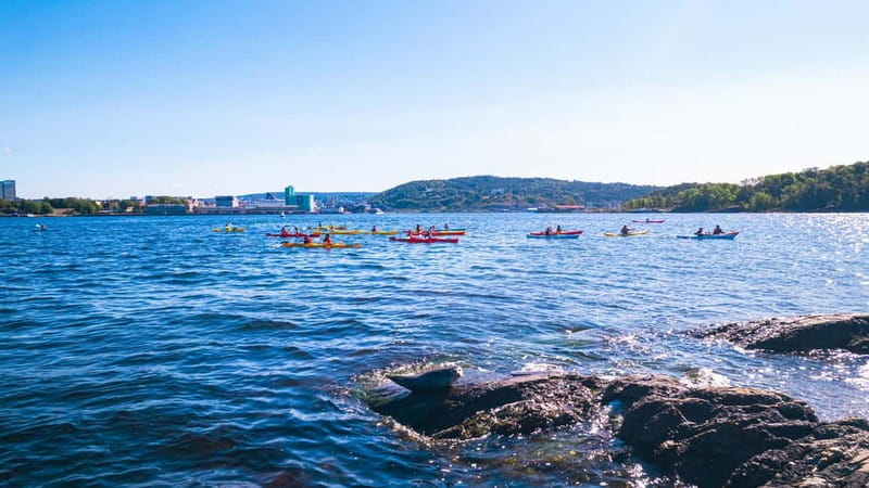 Oslo Sea Kayak Tour “Fjord City” - Oslo Opera House by paddle: the view that sells the tour