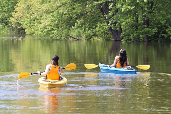 Ottawa: Ecological Reserve Kayak Tour with Turtle Sightings - Key highlights worth your attention