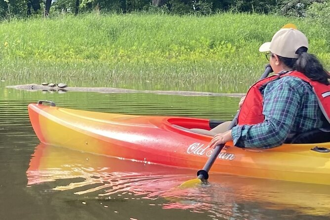 Ottawa: Ecological Reserve Kayak Tour with Turtle Sightings - The guide experience: bilingual stories that connect you to the water