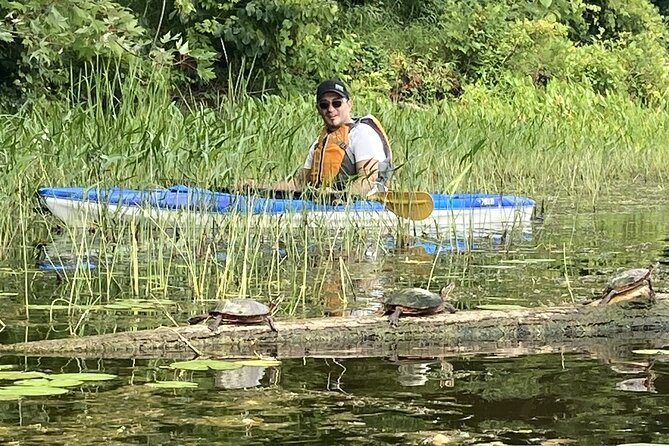Ottawa: Ecological Reserve Kayak Tour with Turtle Sightings - Price and value: $47 for gear, guiding, and real nature time