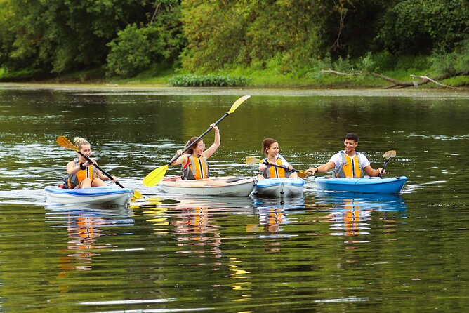 Ottawa: Ecological Reserve Kayak Tour with Turtle Sightings - Your kayak setup: comfortable, safe, and easier than it looks