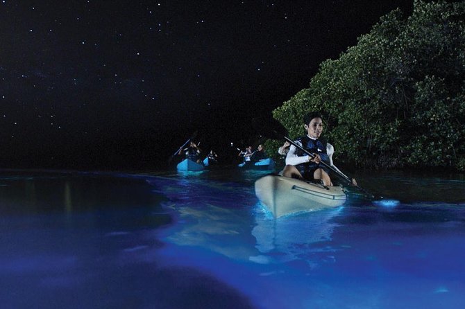 Overnight Bio Bay Kayak Tour in Vieques Island - Key things to know before you go