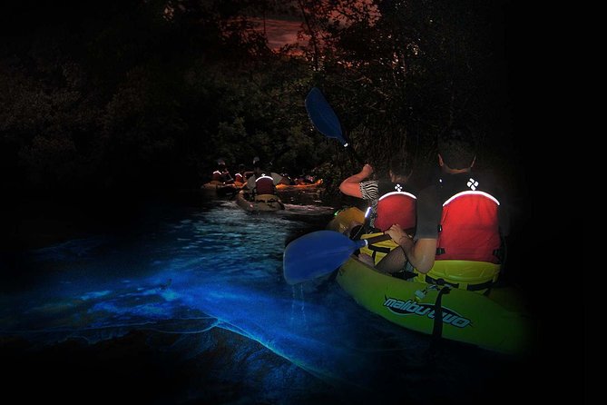 Overnight Bio Bay Kayak Tour in Vieques Island - The dusk-to-night flow: shore stop, mangroves, then the glow on the way back