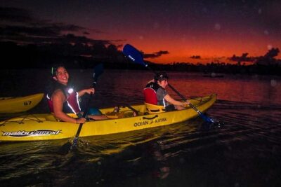 Overnight Bio Bay Kayak Tour in Vieques Island - Meeting at Trade Winds and the ride to the Bioluminescent Bay