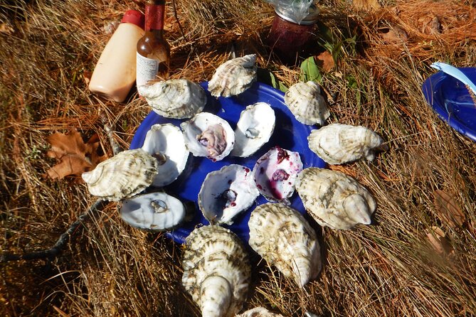 Oyster Farm & Complimentary Tasting Sea Kayak Tour in Casco Bay - Picking your day: why wind and tides control the whole route