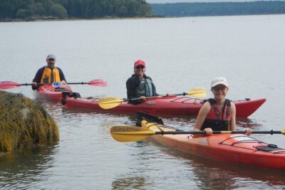 Oyster Farm & Complimentary Tasting Sea Kayak Tour in Casco Bay - Mere Point vs Love Point: two oyster farms, one mission