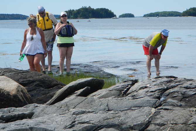 Oyster Farm & Complimentary Tasting Sea Kayak Tour in Casco Bay - Paddle dynamics: solo or tandem, and what that means for comfort